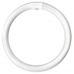BELL 60w T9 Circular 4Pin 3000K