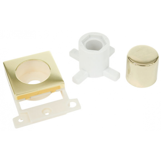 Click Polished Brass Dimmer Mounting Module