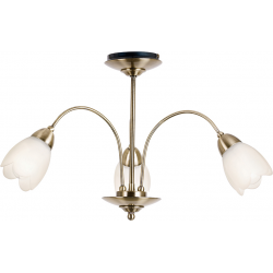Petal 3lt Semi flush