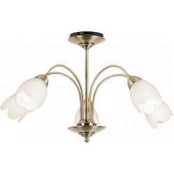 Petal 5lt Semi flush
