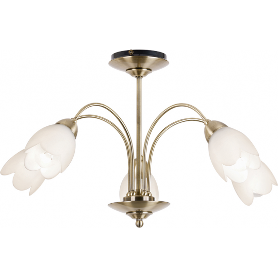 Petal 5lt Semi flush