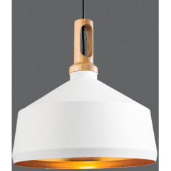 Garcia 1lt Pendant