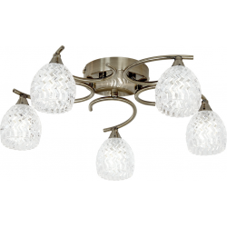 Boyer 5lt Semi flush