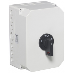 100A 2P Change over Switch