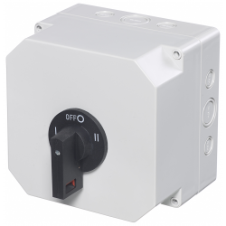 Europa 63A 2P Change Over Switch