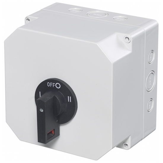 Europa 63A 2P Change Over Switch