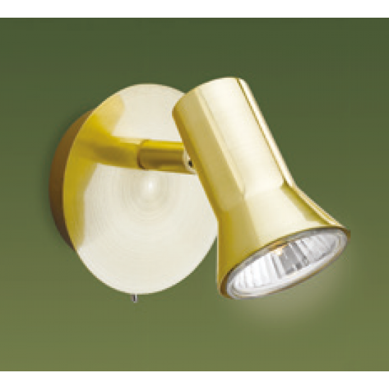 Firstlight Magnum single spot Brushed Brass